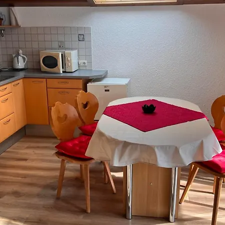 Haus Ganahl 公寓 万丹斯
