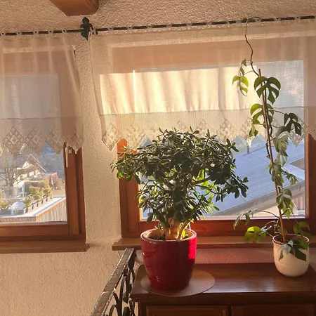 Haus Ganahl Appartement Vandans